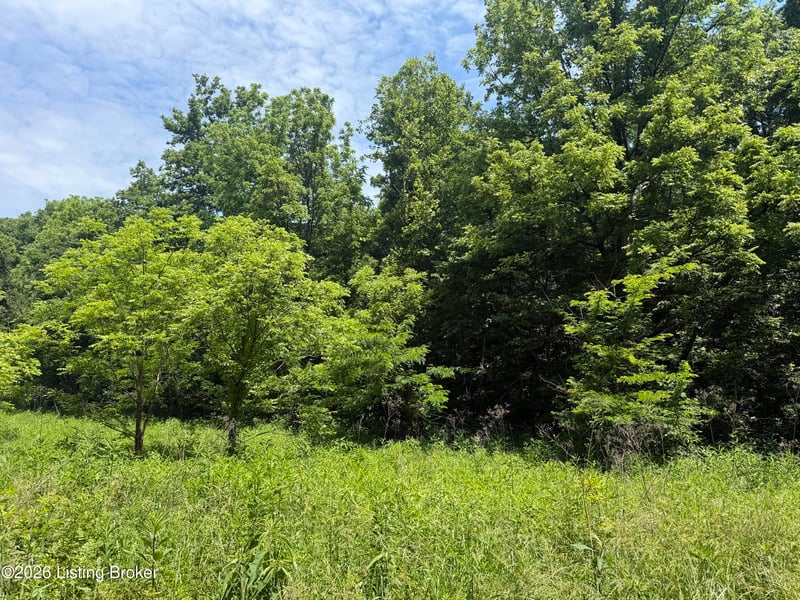 0 Edgar Basham Rd, Irvington, KY 40146