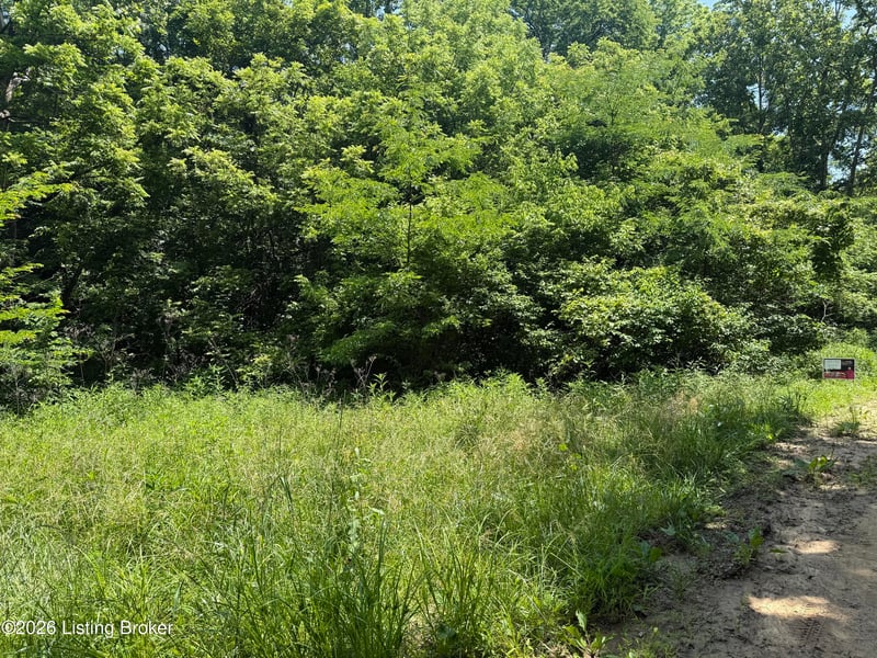 0 Edgar Basham Rd, Irvington, KY 40146