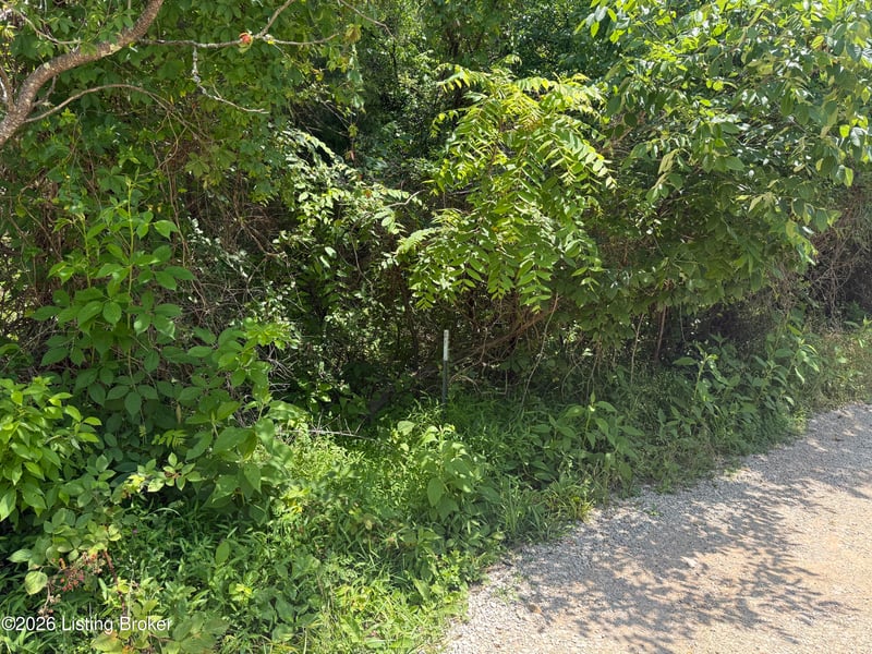 0 Edgar Basham Rd, Irvington, KY 40146
