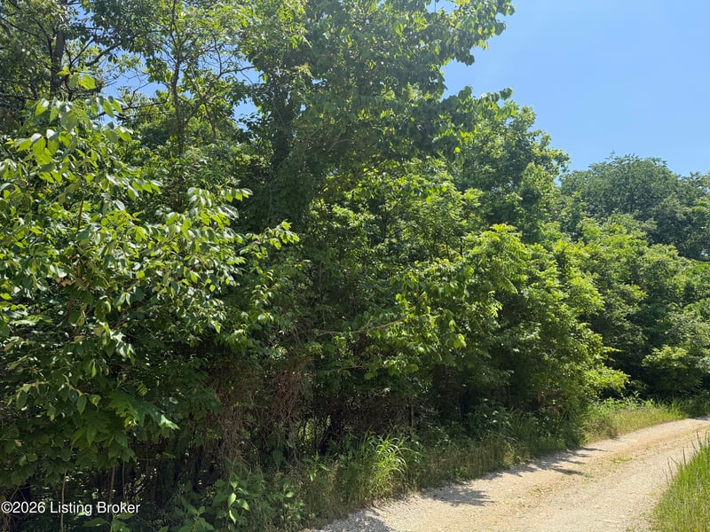 0 Edgar Basham Rd, Irvington, KY 40146
