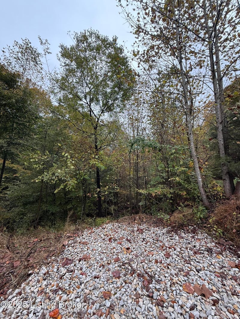 0 Elm Hill Ln, Leitchfield, KY 42754