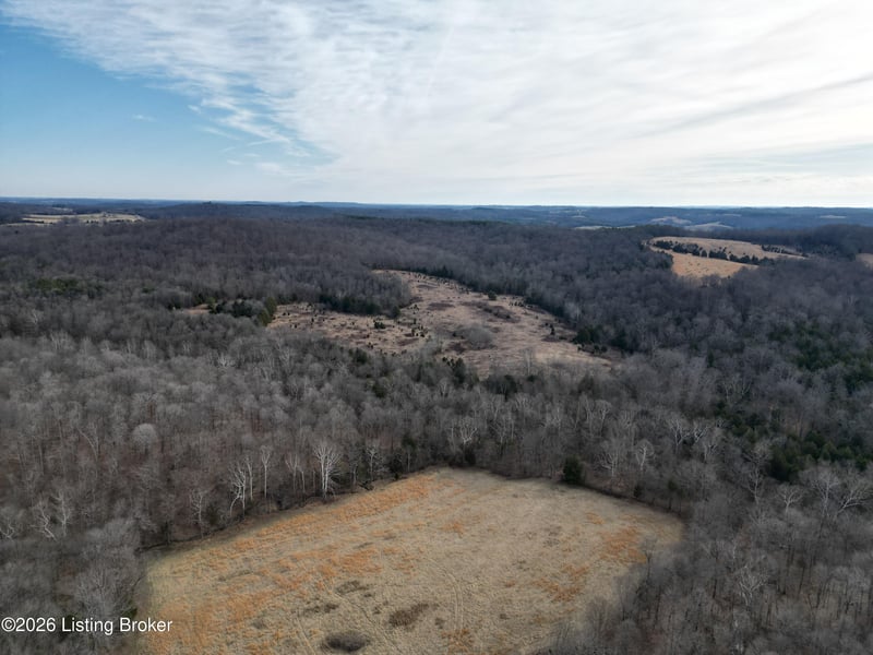 0 Green Decker Rd, Caneyville, KY 42721