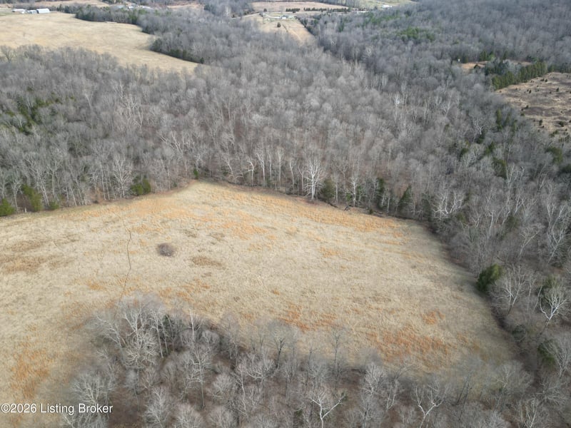 0 Green Decker Rd, Caneyville, KY 42721