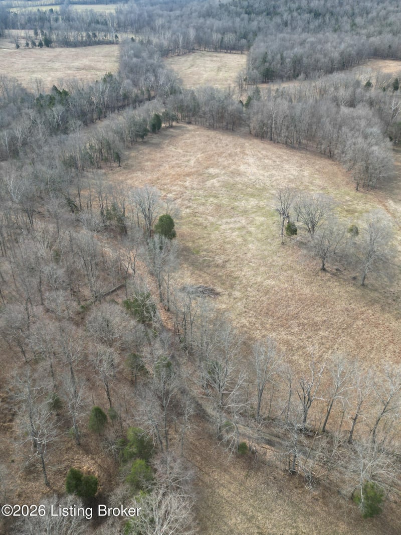 0 Green Decker Rd, Caneyville, KY 42721
