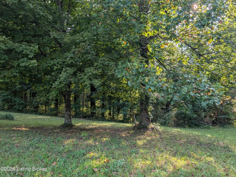 0 Hackney Ln, Bedford, KY 40006