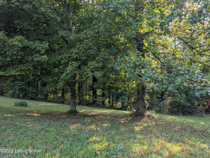 0 Hackney Ln, Bedford, KY 40006