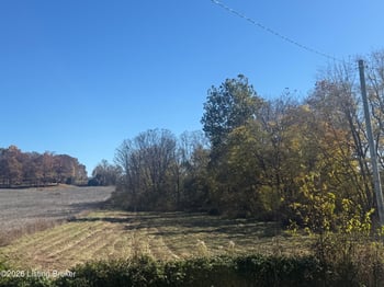 0 Highway 60 Lot 4, Vine Grove, KY 40175