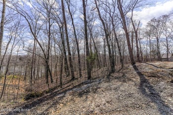 0 Hunting Ground Rd, Leitchfield, KY 42754