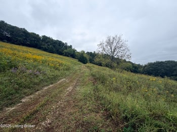 0 Hwy 355, Worthville, KY 41098