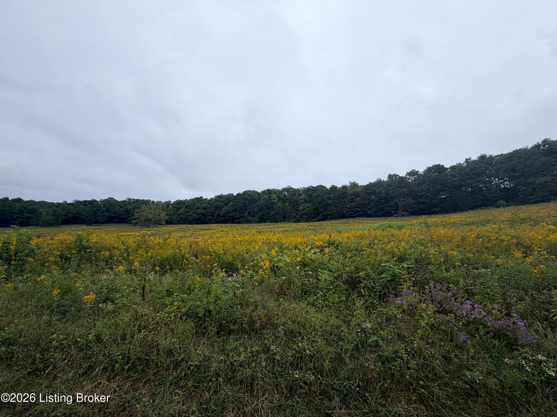 0 Hwy 355, Worthville, KY 41098