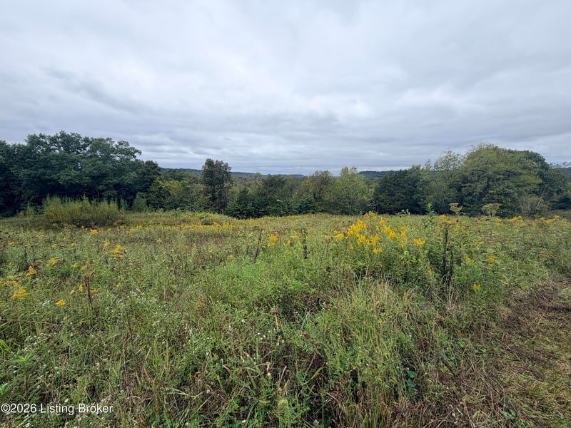 0 Hwy 355, Worthville, KY 41098