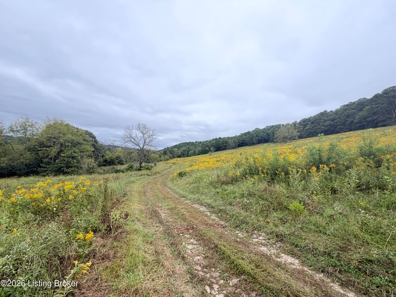 0 Hwy 355, Worthville, KY 41098