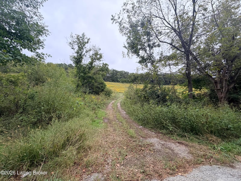 0 Hwy 355, Worthville, KY 41098