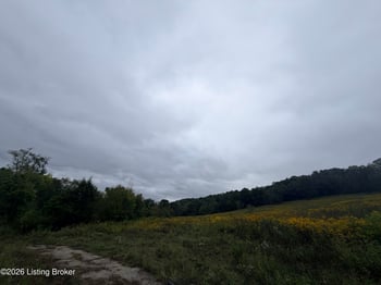 0 Hwy 355, Worthville, KY 41098