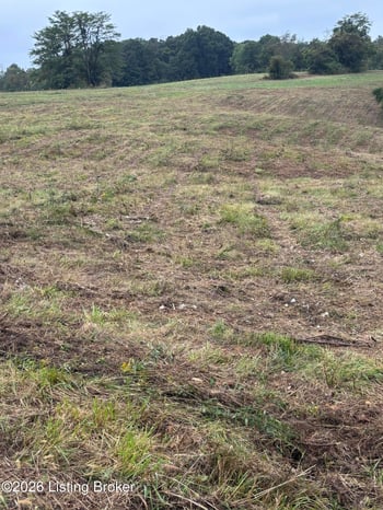 0 Hwy 355, Worthville, KY 41098