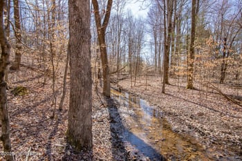 0 Icetown Rd, Boston, KY 40107