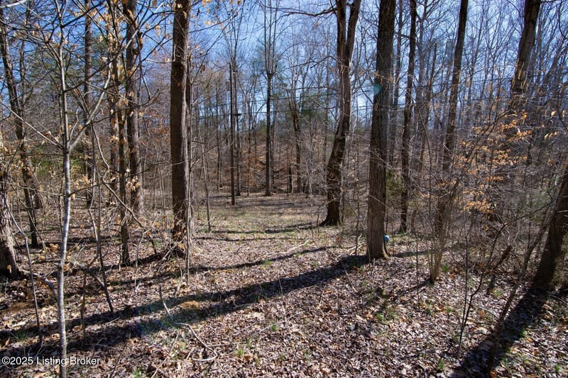 0 Icetown Rd, Boston, KY 40107