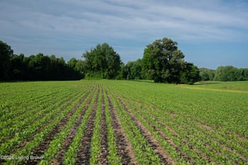 0 Ky 405, Maceo, KY 42355