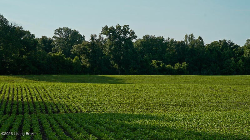 0 Ky 405, Maceo, KY 42355