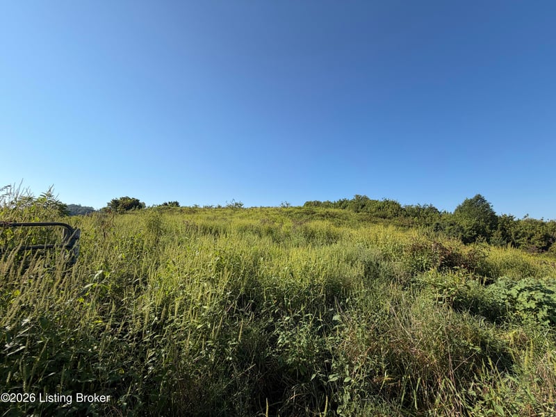 0 Liberty Rd, Bradfordsville, KY 40009