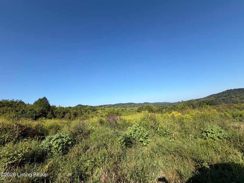0 Liberty Rd, Bradfordsville, KY 40009