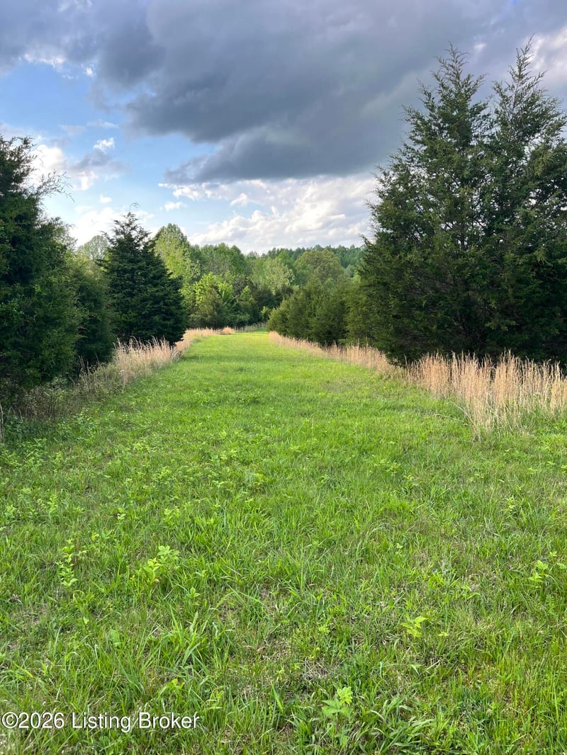 0 Locust Grove Rd, Bonnieville, KY 42713