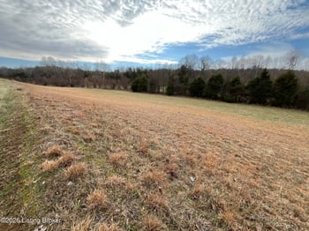 0 Locust Grove Rd, Bonnieville, KY 42713