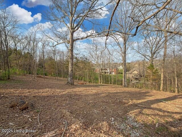 0 Lot 132 Oak Leaf Ct, Mt Washington, KY 40047