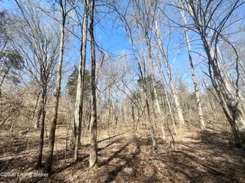 0 Monks Rd, New Haven, KY 40051
