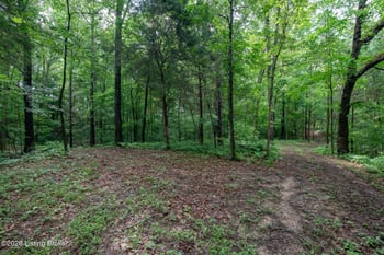 0 Mook Centerview Rd, Hudson, KY 40145