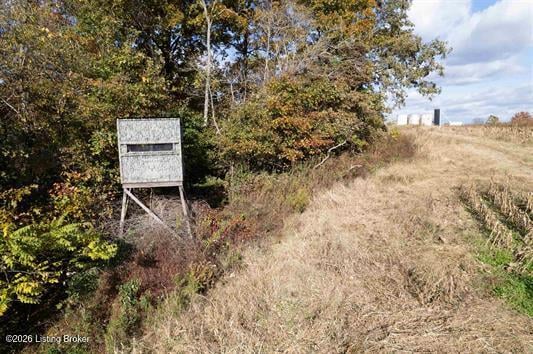 0 Morris Ln, Falls Of Rough, KY 40119