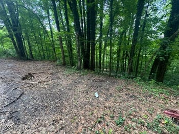 0 Plane Tree Ln, Bee Spring, KY 42207