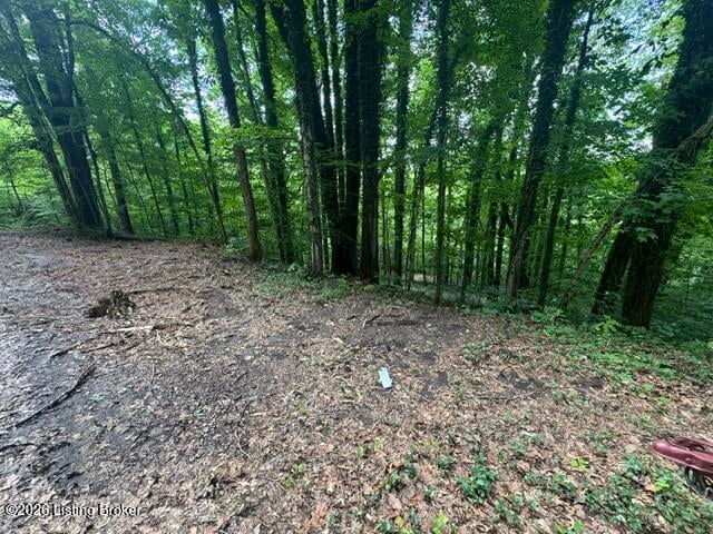 0 Plane Tree Ln, Bee Spring, KY 42207