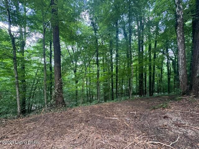 0 Plane Tree Ln, Bee Spring, KY 42207