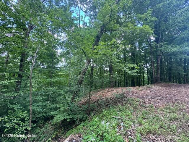 0 Plane Tree Ln, Bee Spring, KY 42207