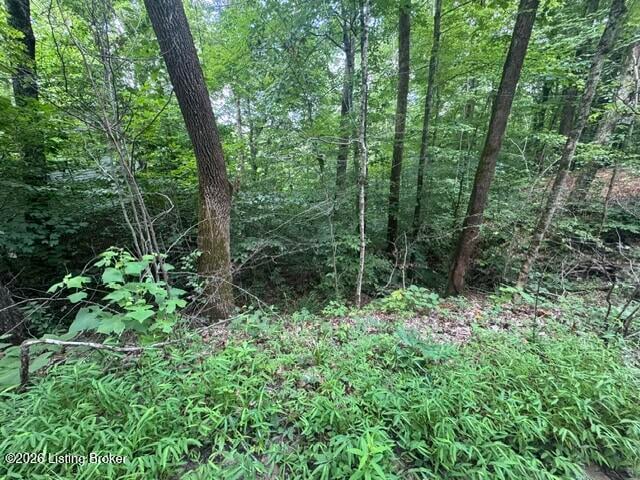 0 Plane Tree Ln, Bee Spring, KY 42207