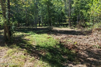 0 Rockledge Rd, Falls Of Rough, KY 40119