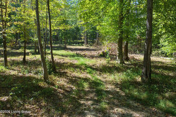 0 Rockledge Rd, Falls Of Rough, KY 40119