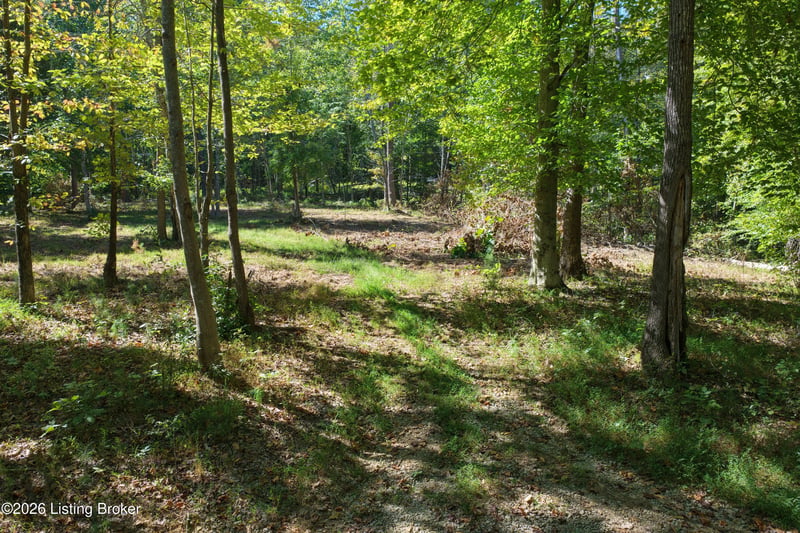 0 Rockledge Rd, Falls Of Rough, KY 40119