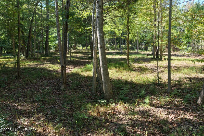 0 Rockledge Rd, Falls Of Rough, KY 40119