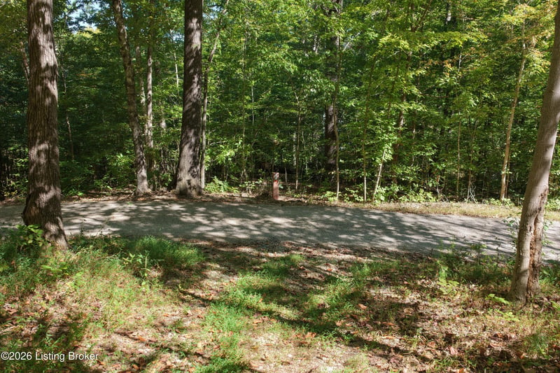 0 Rockledge Rd, Falls Of Rough, KY 40119