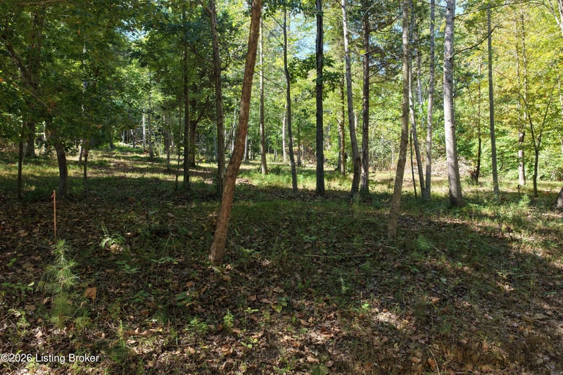 0 Rockledge Rd, Falls Of Rough, KY 40119