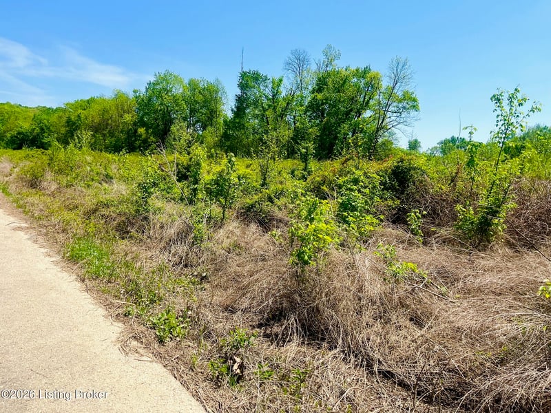 0 Sandy Court East, Falls Of Rough, KY 40119