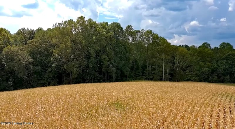 0 Scott Marcum Rd, Summersville, KY 42782