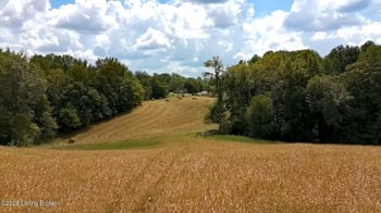 0 Scott Marcum Rd, Summersville, KY 42782
