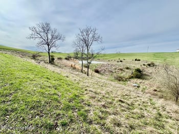 0 Settles Ln, Springfield, KY 40069