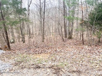 0 Sleepy Hollow Cir, Clarkson, KY 42726
