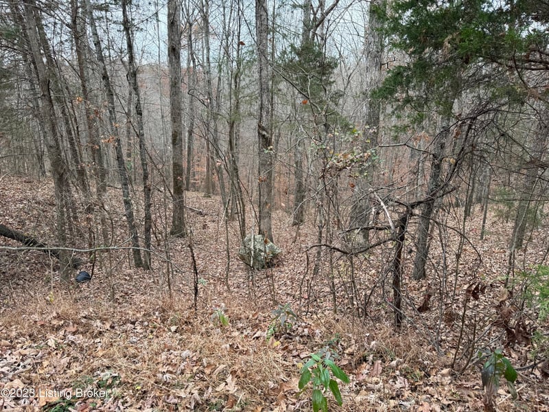 0 Sleepy Hollow Cir, Clarkson, KY 42726