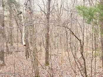 0 Sleepy Hollow Cir, Clarkson, KY 42726