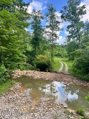 0 Straight Fork Rd, Vanceburg, KY 41179